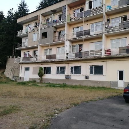 Alena'S Flat Apartment Borjomi Exterior foto