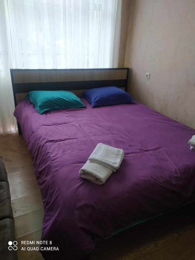 Alena'S Flat Apartment Borjomi Exterior foto