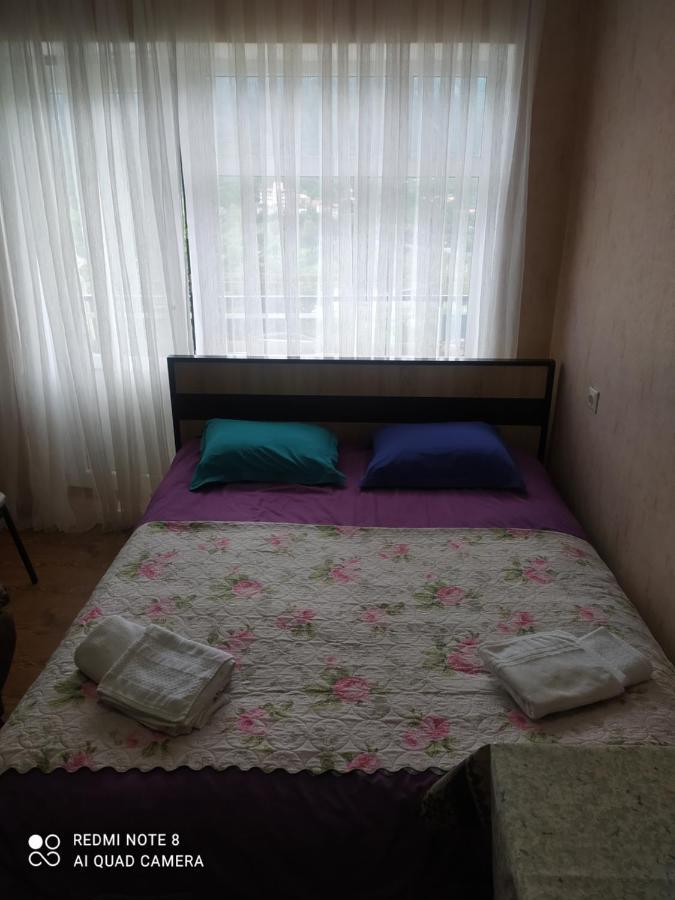 Alena'S Flat Apartment Borjomi Exterior foto