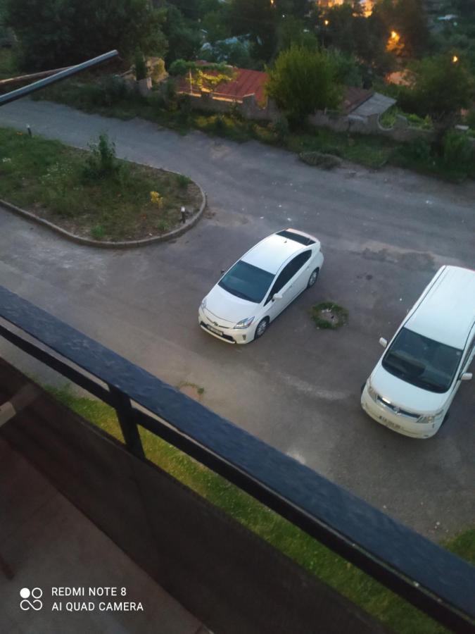 Alena'S Flat Apartment Borjomi Exterior foto