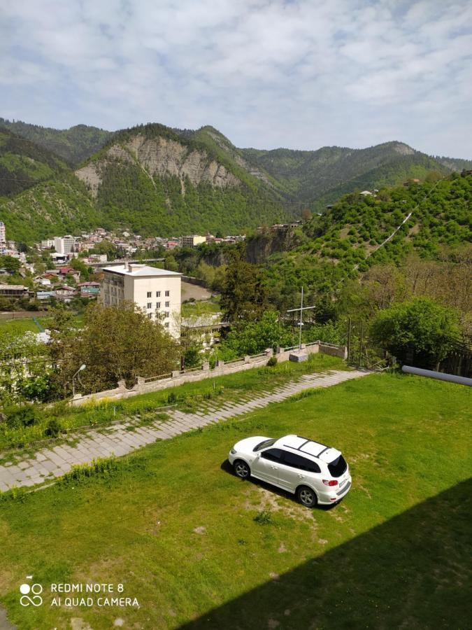 Alena'S Flat Apartment Borjomi Exterior foto